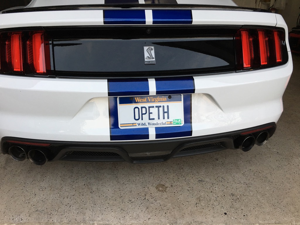 ANY new licence plate ideas for the GT350 Page 42 2015+ S550